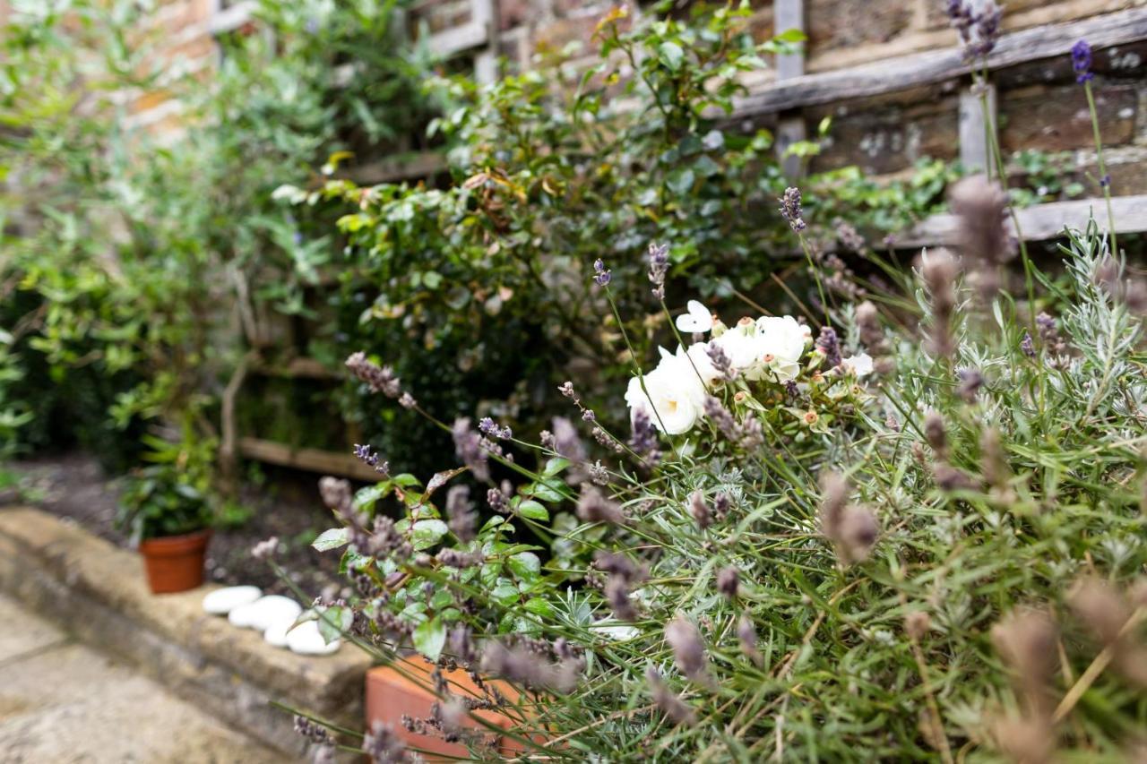 Meads Garden Cottage Close To Sea Eastbourne Luaran gambar